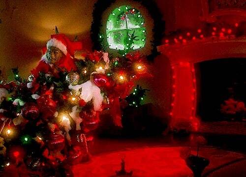 How to Get Rid of Your Christmas Tree