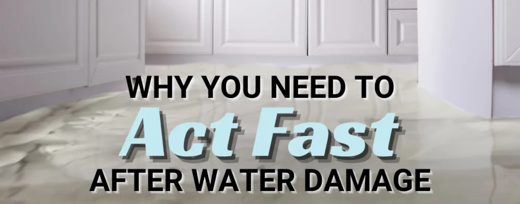Water damage restoration