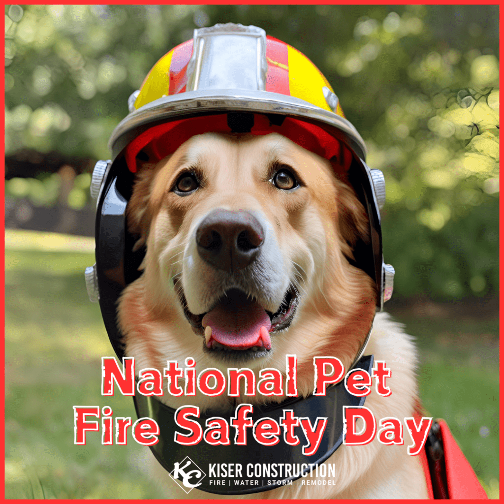 National Pet Fire Safety Day