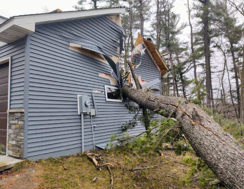 tree that fell through house after storm