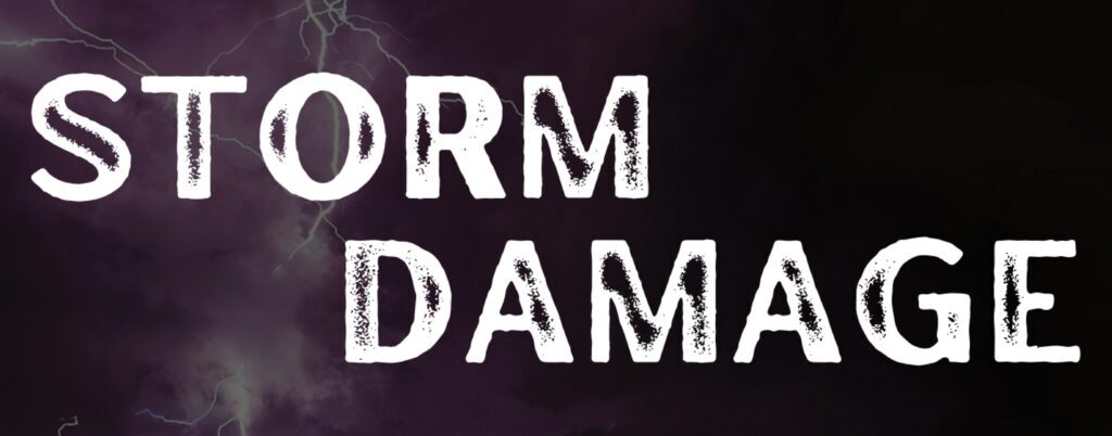 what to do after storm damage blog